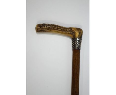 A walking stick with horn handle and woven silver band