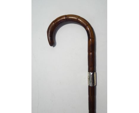 A Malacca walking stick with silver collar (London 1892)