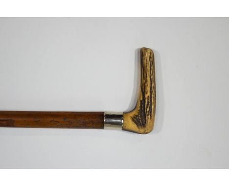 A Malacca shafted walking stick with wooden handle, 2 silver collars, Birmingham 1896