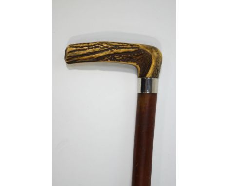 A mahogany walking stick with horn handle and 1" silver collar (rubbed) 