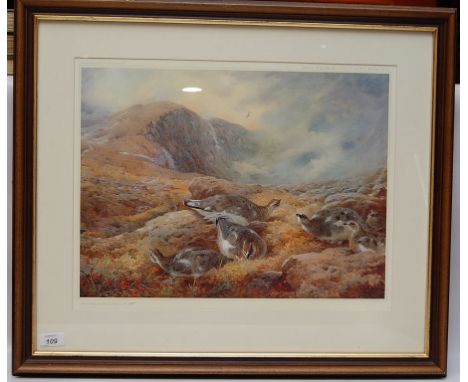 LIMITED EDITION PRINT 487 OF 500 "DANGER ALOFT" (ARCHIBALD THORBURN) 35.5 X 47CM