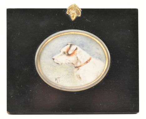 X (ARR) An Edwardian circa 1902 miniature portrait on ivory of a terrier dog. Dog pictured from chest up in side profile. The