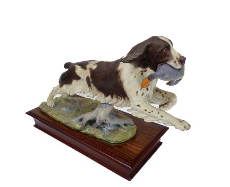 Albany Fine China Company Ltd., England - a limited edition china model of a springer spaniel retrieving; modelled by Neil Ca