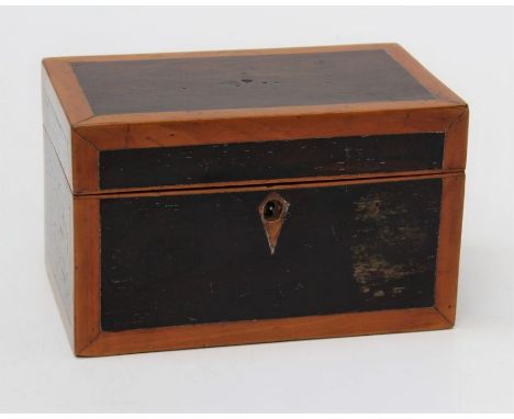 An early 19th century rosewood, satinwood crossbanded tea caddy, with covered two division interior, 22cm wide