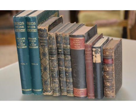 MILLER (Hugh). The Old Red Sandstone; or New Walks in an Old Field, 1st edition, Edinburgh, John Johnstone, 1841, 8vo., foldi