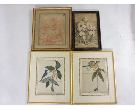 Johann Seligmann, after Mark CatesbyOENANTHE AMERICANA; LINARIA CAERULEATwo, hand coloured engravings22 x 29.5cm, framed;a Ho