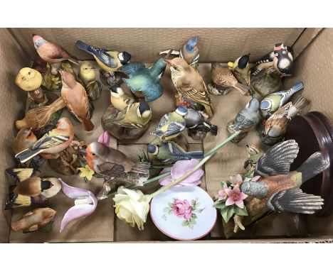 A collection of Royal Worcester bird figurines to include Pied Woodpeckers, Hedge Sparrow, Thrush, Great Tit, Linnets, etc., 