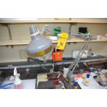 Adjustable Dazer Lamps