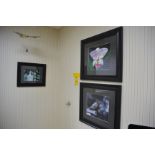 Assorted Wall Hanging Pictures