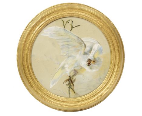 A CIRCULAR CERAMIC PLAQUE of a white cockatoo with outstretched wings, 34cm diameter in gilt frame