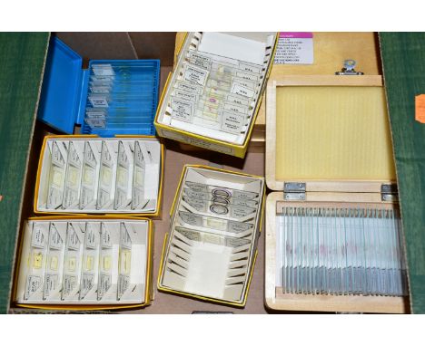 A BOX OF PRE-PREPARED MICROSCOPE SLIDES, to include approximately one hundred and sixty boxed modern/late twentieth century s