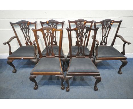 A SET OF SIX CHIPPENDALE STYLE MAHOGANY DINING CHAIRS, including two carvers, with drop in seat pads, raised on front cabriol