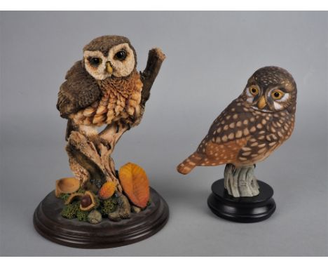 Konvolut Eulen, 2 StückMarke Goebel, einmal "Pygmy owl limited edition", Biskuitporzellan, bemalt, mit Sockel; einmal "countr