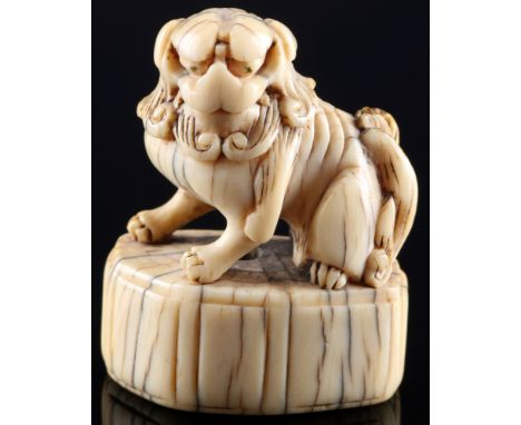 Japan 18. Jahrhundert, Elfenbein Netsuke Shishi auf Sockel, Edo-Zeit,Japan Edo-Zeit 1603 bis 1868, Elfenbein, das Netsuke ste