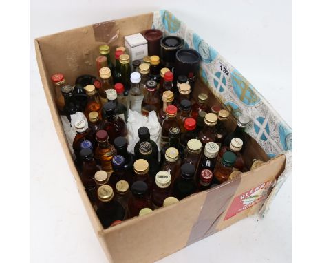 A box of miniature Whisky's, Cognac, Calvados etc 