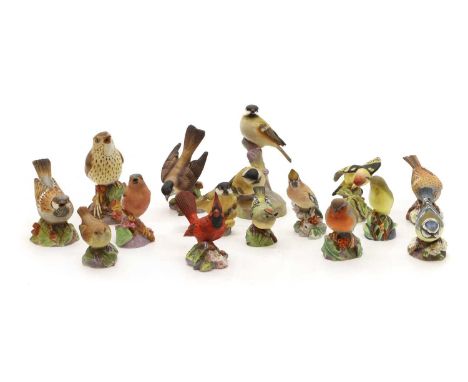 A collection of Royal Worcester porcelain birds including a sparrow, marsh tit, coal tits, Western tanager, American robin, r