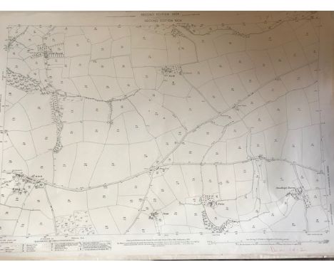 THIRTY 1:2500 ORDNANCE SURVEY MAPS featuring West Buckland, Uppacott, Rushcott, Swimbridge, Twitchen, Hummacott, East Down, B