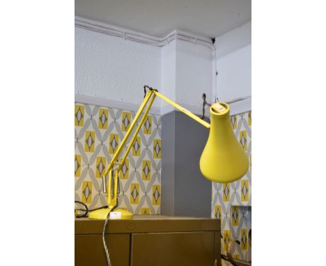 Anglepoise Office Lamp 