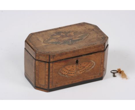 A Georgian mahogany rosewood cross-banded and inlaid two compartment tea caddy, the octagonal lid decorated with an oval flow
