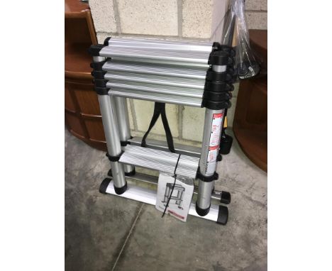 A telesteps extending ladder