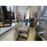 Kreuzmayr Model KWEM 1000 Apple Washer/Elevator/Grinder, S/N: 015UG06 (2020); Stainless Steel