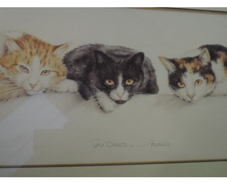 A print after Willis, cat interest, 'say cheese - please'