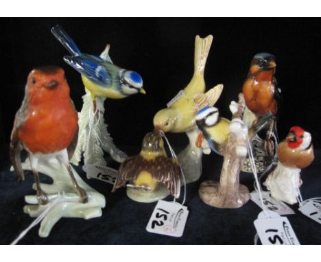 Group of six Goebel bird studies to include Chaffinch, blue titmouse, European Goldfinch etc. (6) CONDITION REPORT: Blue titm