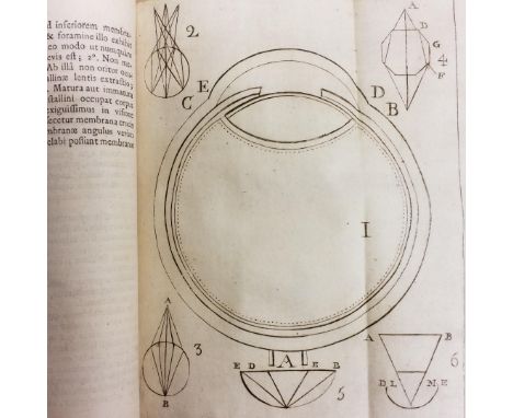 [Medicine] . Sammelband of 18 medical dissertations, circa 1750-59, including: Physiologicæ Conspectus Anatomico-Mechanicus,.