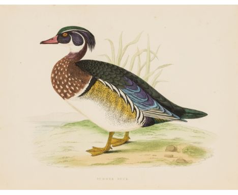 Morris (Beverley R.) British Game Birds and Wildfowl, first edition, 60 wood-engraved plates by Benjamin Fawcett printed in c