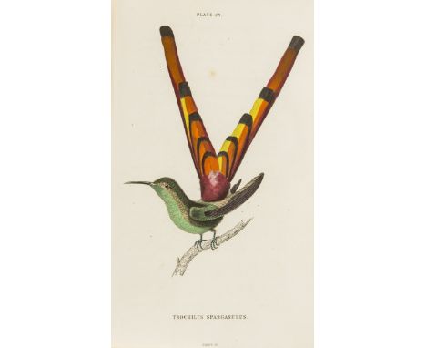 Jardine (Sir William, editor) The Naturalist's Library: Ornithology: The Natural History of Humming-Birds, 2 vol., hand-colou