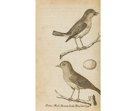 NO RESERVE Albin (Eleazar) A Natural History of English Song-Birds..., second edition, copper-engraved frontispiece and 23 pl