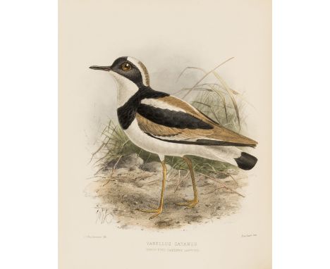 Seebohm (Henry) The Geographical Distribution of the Family Charadriidæ, or the Plovers, Sandpipers, Snipes, and their Allies