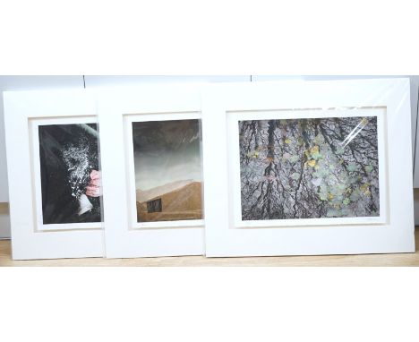 Valda Bailey (Contemporary), three abstracts to include Study of a flower and leaves, photographic prints, each pencil signed