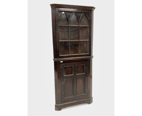 Early 19th century mahogany floor standing corner cupboard, dentil cornice over gothic arched astragal glazed doors enclosing