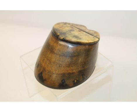 Victorian pony hoof table snuff box with hinged horn lid and steel horseshoe, 10cm