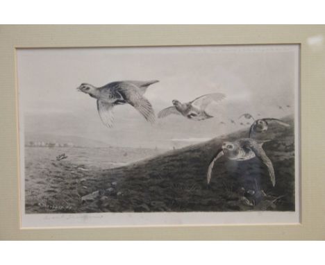 Archibald Thorburn (1860 - 1935), pair signed prints - Grouse in flight, published by The Fine Art Society 1896, in glazed fr