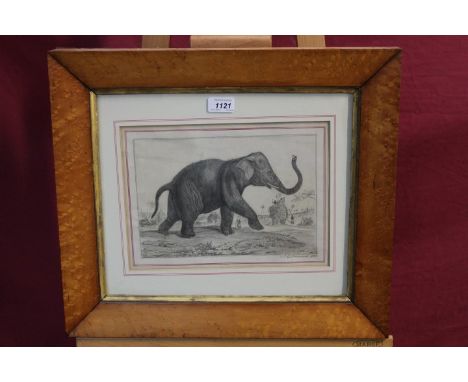 John Cousins Garrood (1851 - 1936), pencil sketch - Indian elephants with figures, signed and dated 1861, in glazed maple fra
