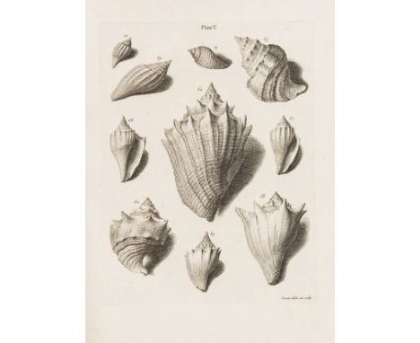 Fossils.- Brander (Gustav) Fossilia Hantoniensia collecta, et in Museo Britannico deposita, first edition, half-title, engrav