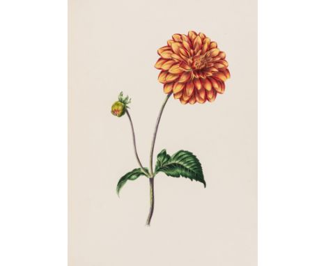 Andrews (James) The Parterre: or, Beauties of Flora, first edition, half-title, 12 fine hand-coloured lithograph plates, occa