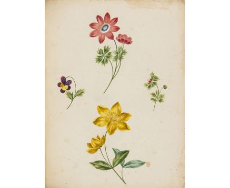 Brookshaw (George) A New Treatise on Flower Painting, or, Every Lady Her Own Drawing Master, hand-coloured stipple-engraved f