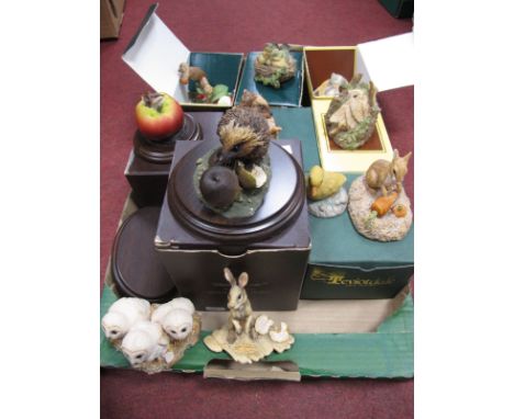 Aynsley, Boarder Fine Art and Country artist resin animals, boxes noted:- One Box.