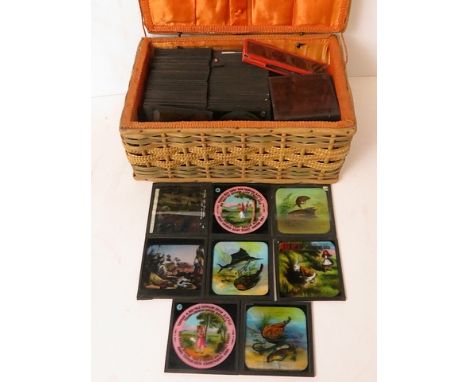 A good collection of 19th century Magic lantern slides to include pictures of fish and battle scenes