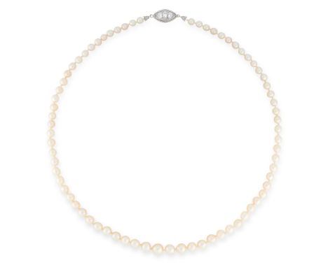 A PEARL AND DIAMOND NECKLACE in 14ct white gold, comprising of a single row of graduated pearls ranging from 4.5mm-7.3mm in d