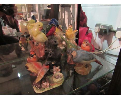 A selection of Continental ceramic birds including parrots, kingfisher, finches, etc., some a/f (8)