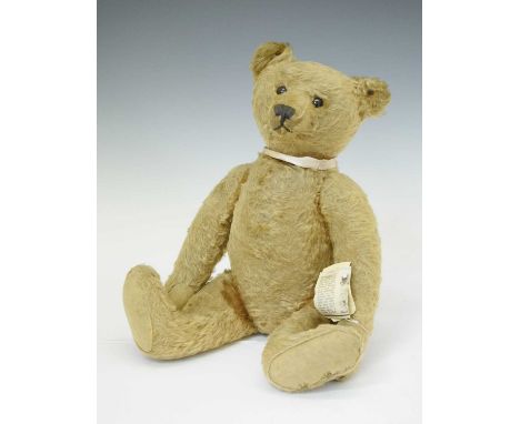 Steiff - Early golden mohair teddy bear with rounded ears, black glass button eyes, black stitched nose, mouth and claw detai