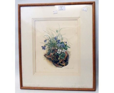A signed limited edition coloured print, depicting a clump of wild flowers