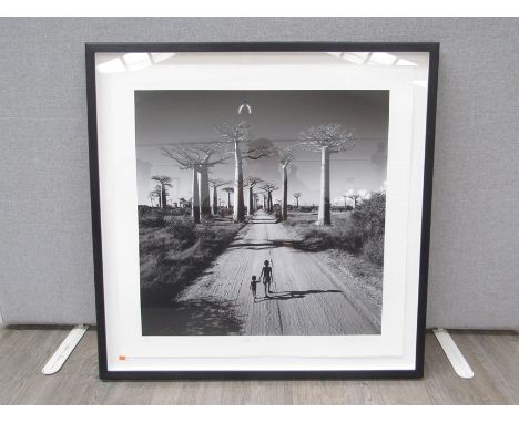 CHRIS SIMPSON (b.1952) A framed and glazed photographic giclee print, 1997, 'Allee Des Baobas, Madagascar'. Signed and titled