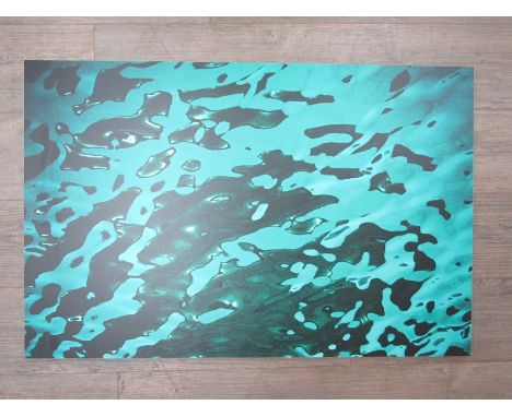 MANUELA HOFER (XXI) A photographic digital inkjet print on aluminium, 'Water'. Image size 66cm x 100.5cm