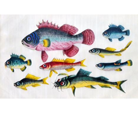 A group of five Chinese paintings on rice paper, 19th century, each painted with fish studies, each approx. 19cm. by 31cm., m