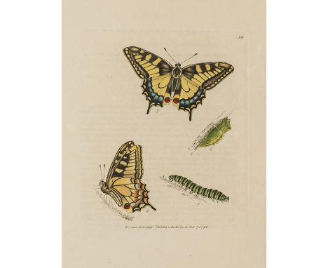 Butterflies.- Lewin (William) The Insects of Great Britain...with the natural history of each species, vol.1 only [all publis